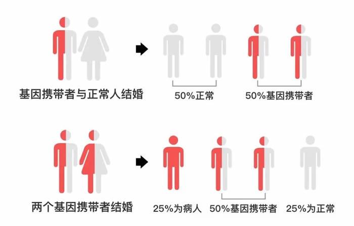 微信圖片_2025-07-02_181731_027.jpg